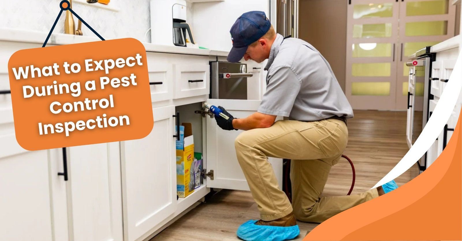 Pest control expert conducting a detailed property inspection